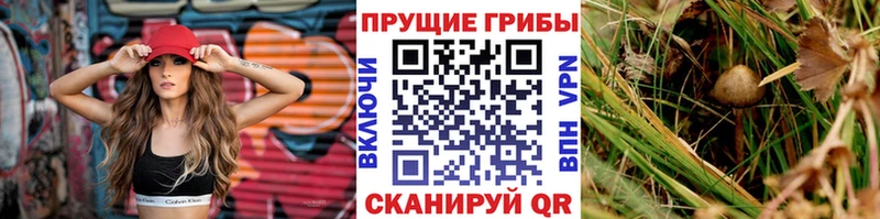 Галлюциногенные грибы мицелий  Шацк 